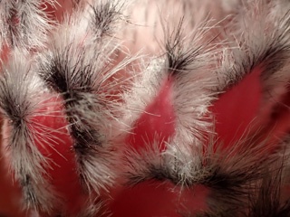 PB100920a.jpg